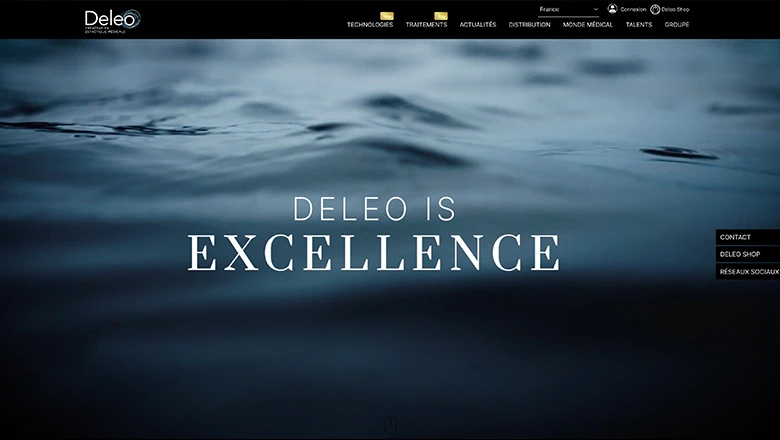 Site de DELEO
